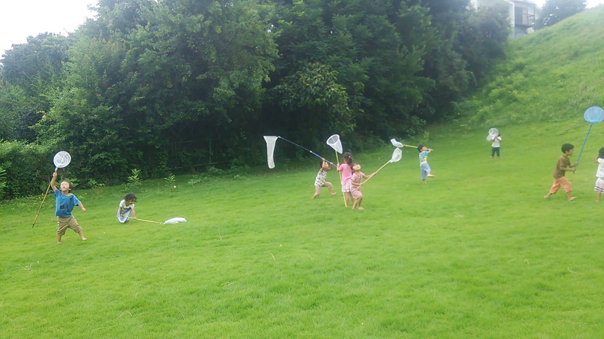 芝生２０１５．１０．１２