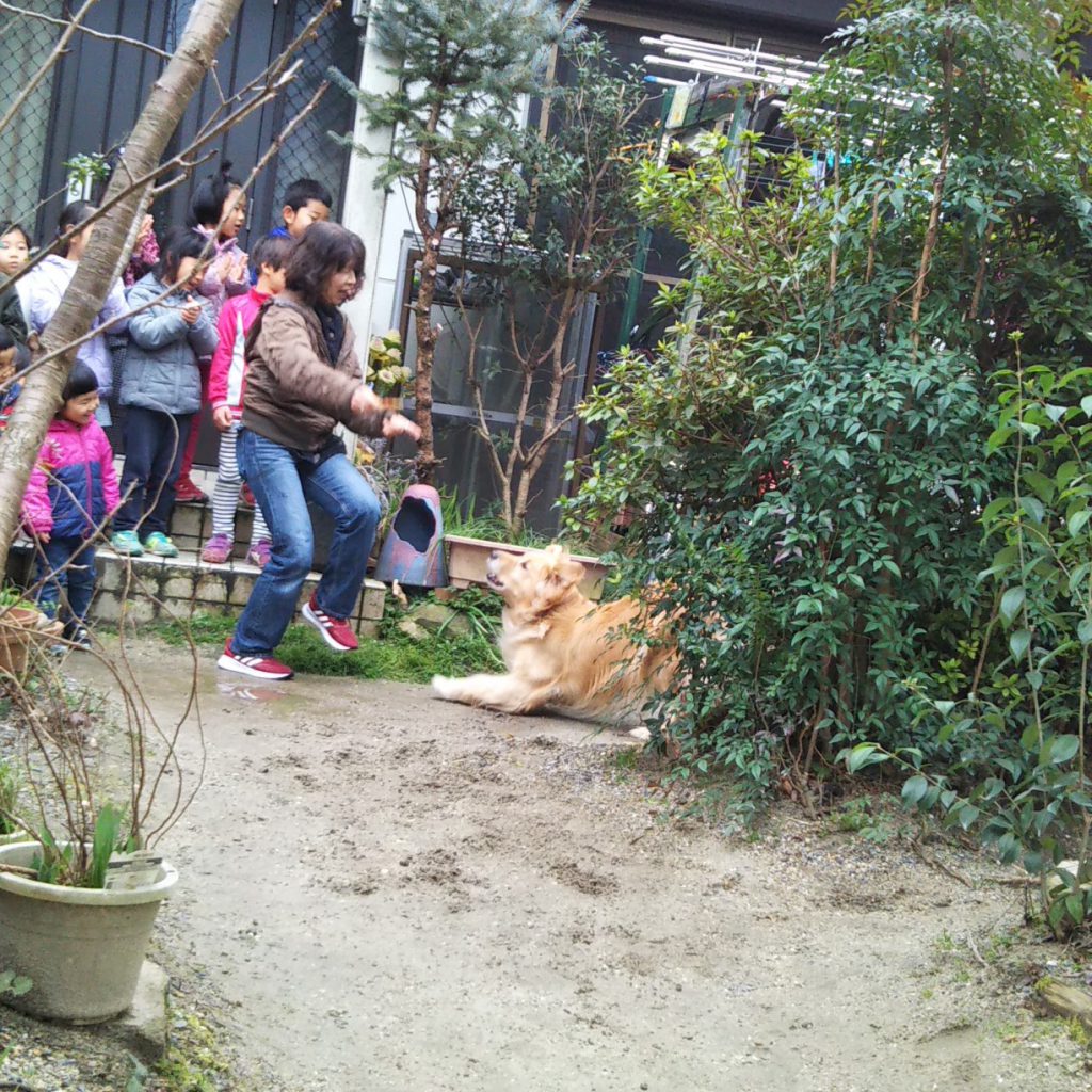 動物たちも 元気です 年2月29日 てんとうむし幼児園 京都府京田辺市の保育園 自然と共に 少人数による縦割り保育