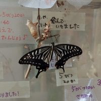 20250617_070243