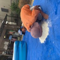 IMG_9387