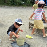 IMG_0987